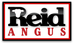 1432267174 (1) 1432267174 (1)